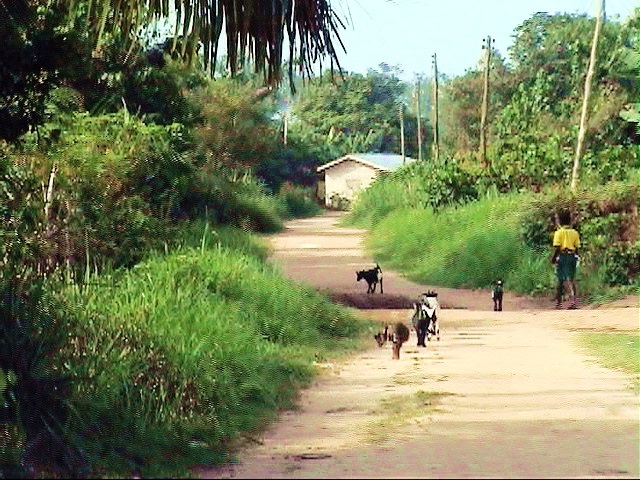 posey’s pictures of eku-feb.2005 620 (2)C